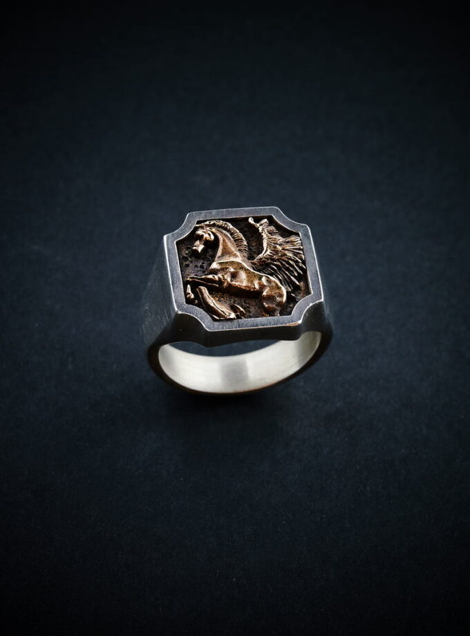 ‘Pegasus’ Silver & Bronze ring