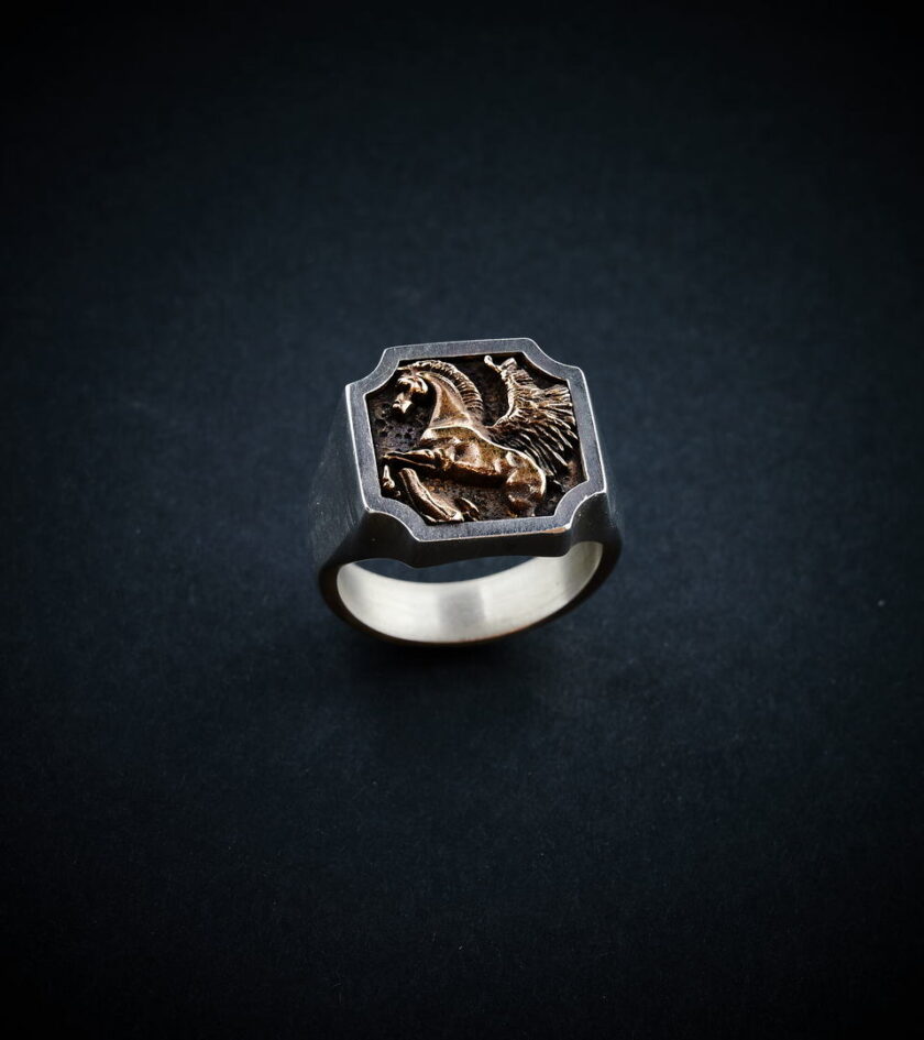‘Pegasus’ Silver & Bronze ring