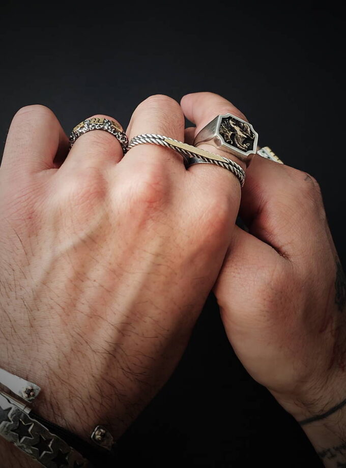 ‘Pegasus’ Silver & Bronze ring