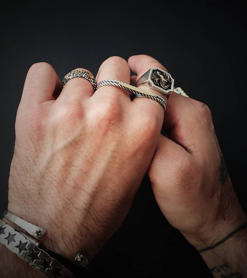 ‘Pegasus’ Silver & Bronze ring - Image 2
