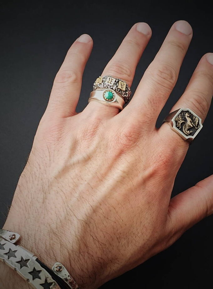 ‘Pegasus’ Silver & Bronze ring