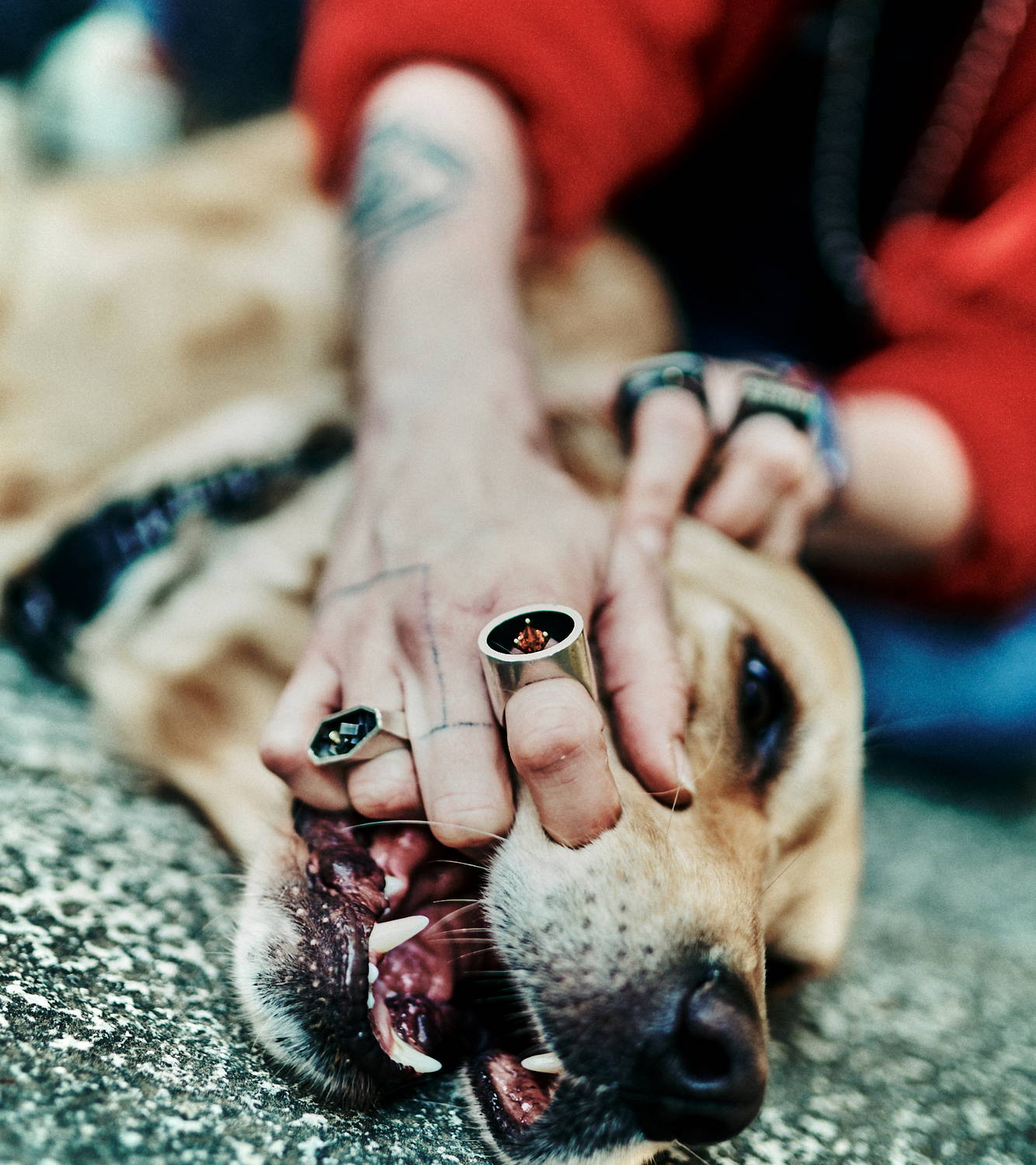 Silver, Gold & Tourmaline - Image 5